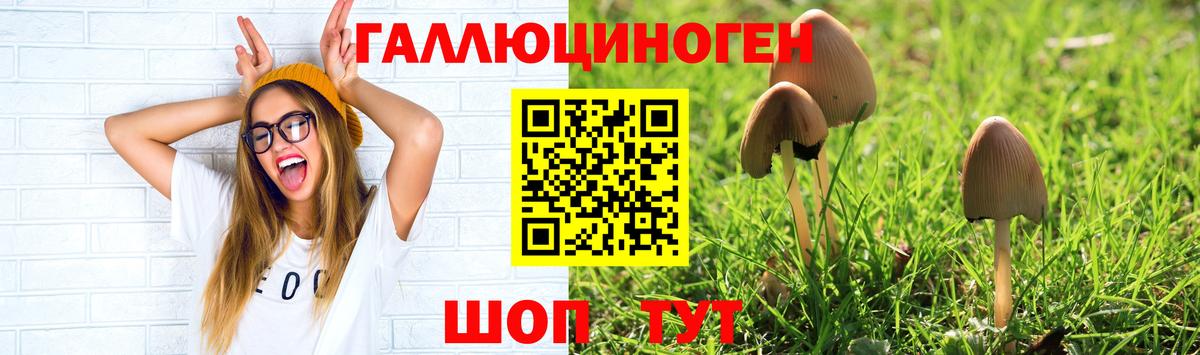 Галлюциногенные грибы MAGIC MUSHROOMS Пенза